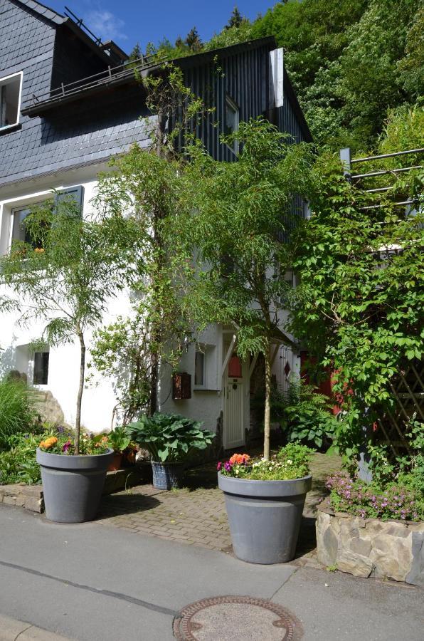 Birgits Landhaus Willingen Willingen  Exterior foto